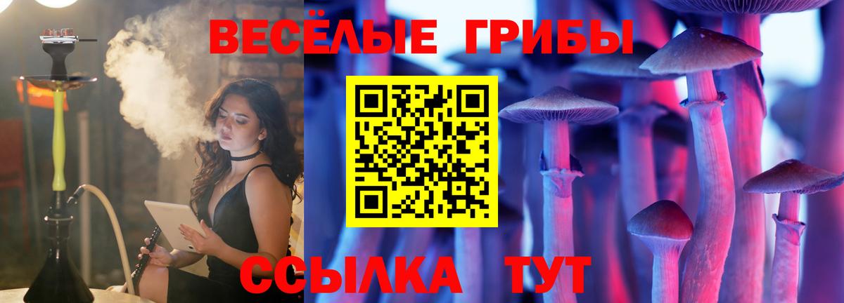 Беслан  Галлюциногенные грибы GOLDEN TEACHER  Вход с VPN  где купить наркотик  Псилоцибиновые грибы GOLDEN TEACHER 